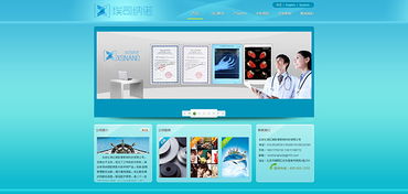 网页与网站设计 现代数字体验的基石